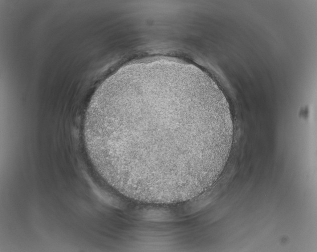 X0000116790066201001291528