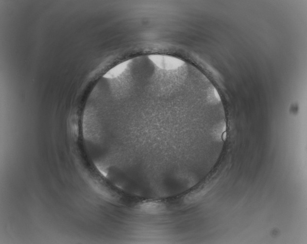 X0000116790067201001291528
