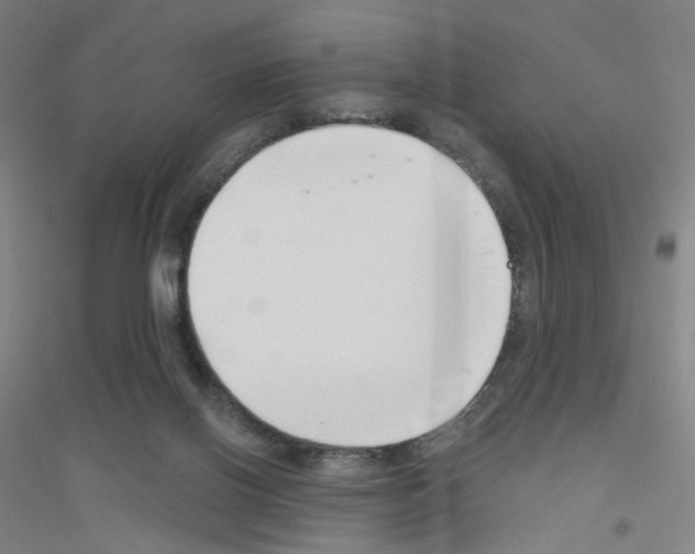 X0000116790070201001291528