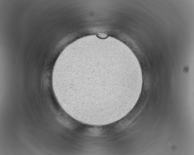 X0000116790071201001291528
