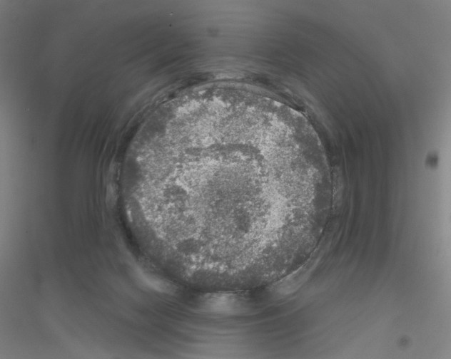 X0000116790074201001291528
