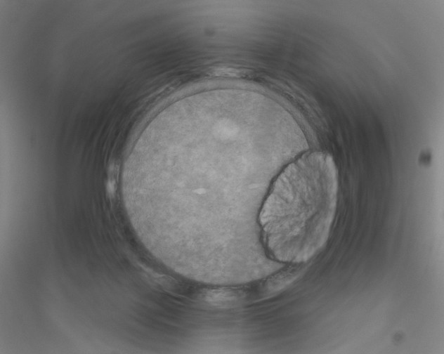 X0000116790075201001291528