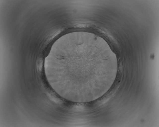 X0000116790076201001291528