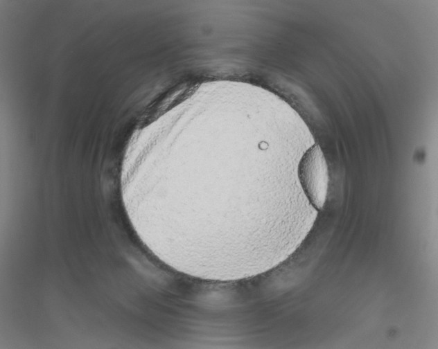 X0000116790077201001291528