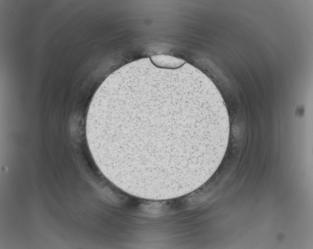 X0000116790079201001291528