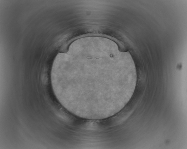 X0000116790080201001291528