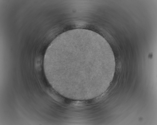 X0000116790082201001291528