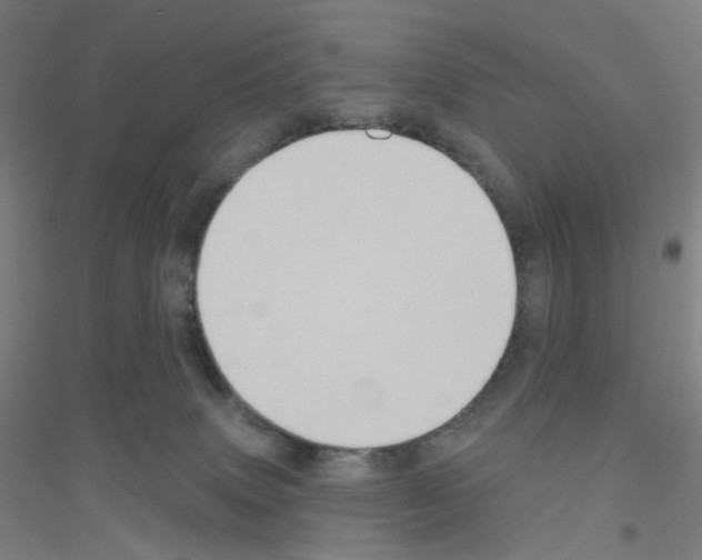 X0000116790083201001291528