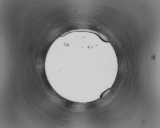 X0000116790084201001291528
