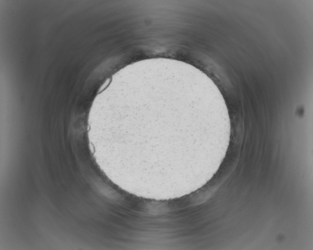 X0000116790085201001291528