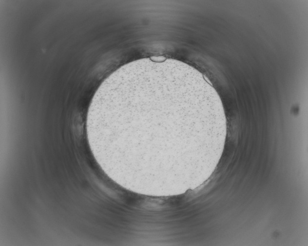 X0000116790086201001291528