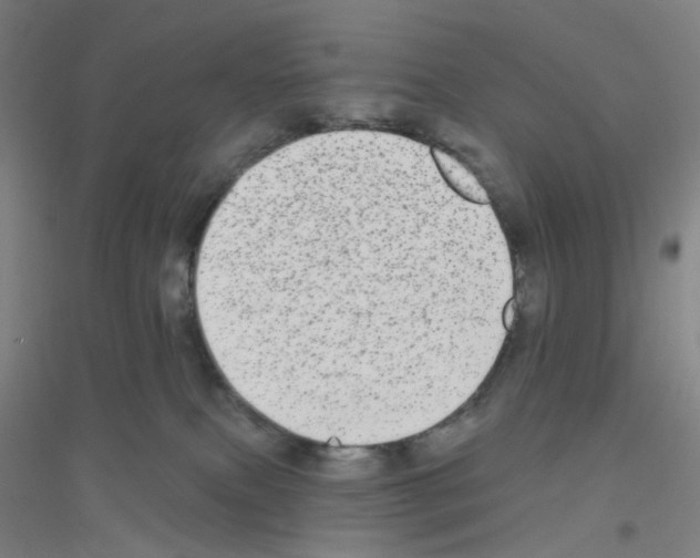 X0000116790087201001291528