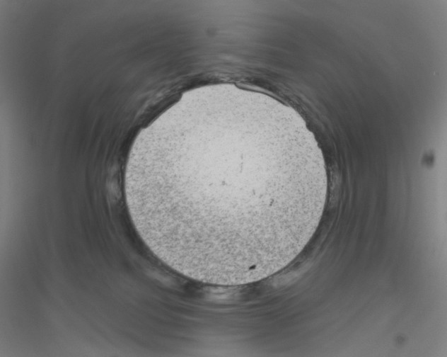 X0000116790088201001291528