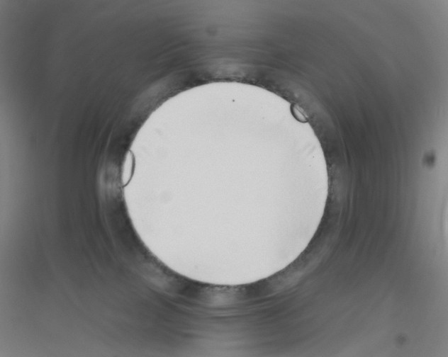 X0000116790089201001291528