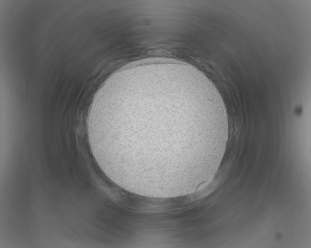 X0000116790090201001291528