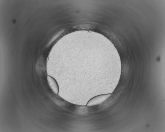 X0000116790091201001291528