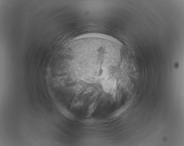 X0000116790093201001291528