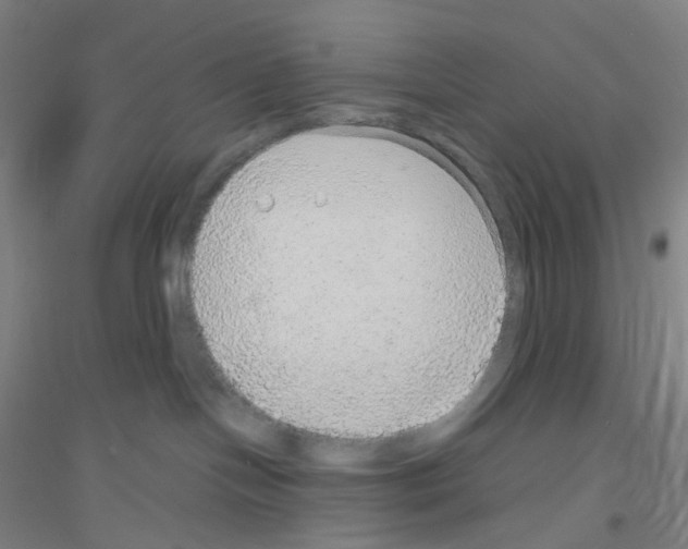 X0000116790094201001291528