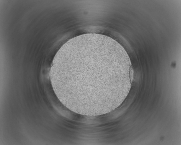 X0000116790095201001291528