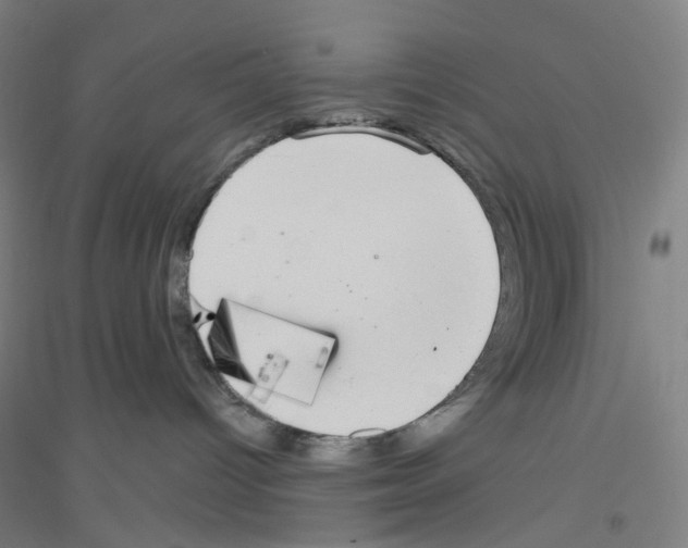 X0000116790096201001291528