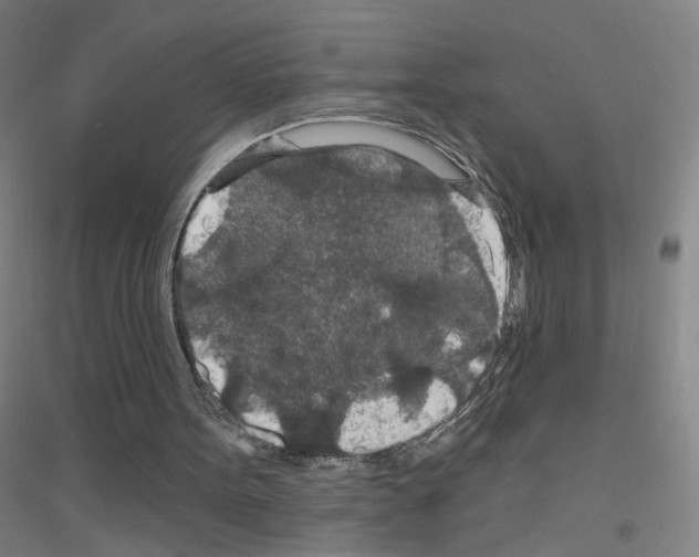 X0000116790099201001291527