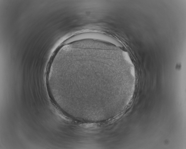 X0000116790100201001291527
