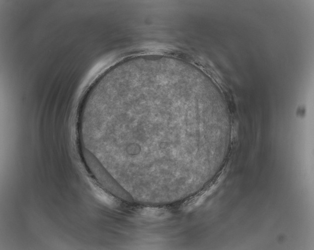 X0000116790101201001291527