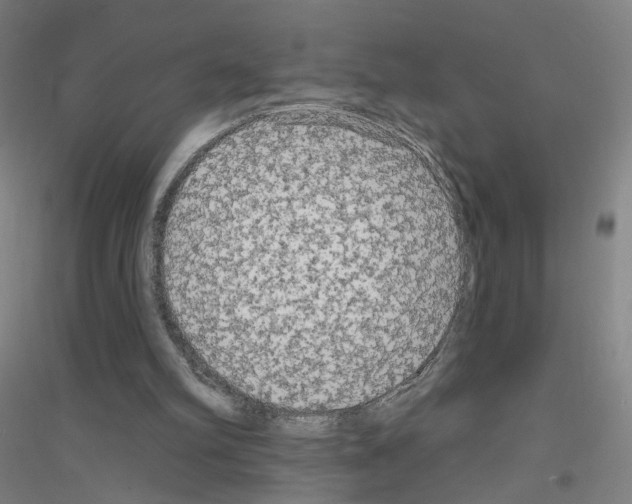 X0000116790102201001291527