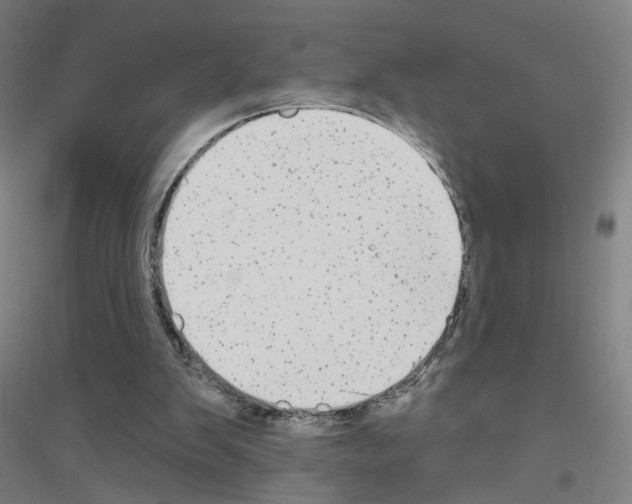 X0000116790103201001291527