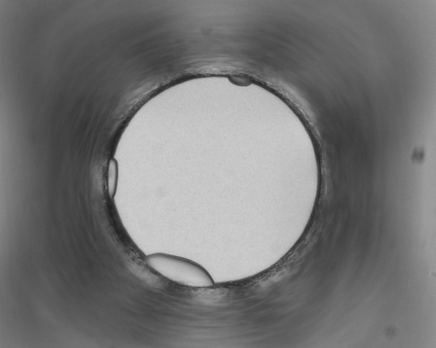 X0000116790105201001291527