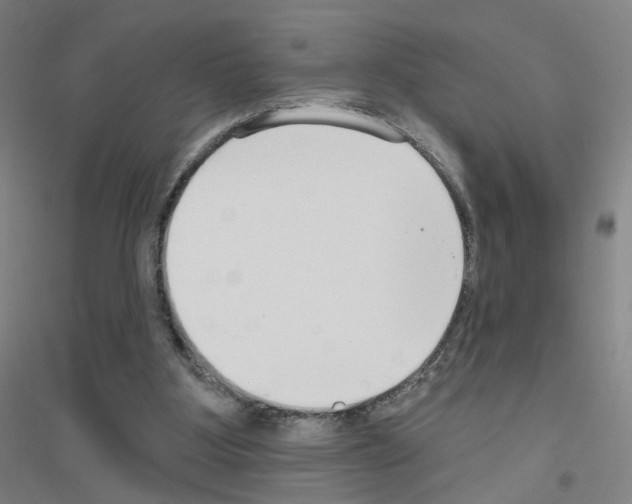 X0000116790107201001291527