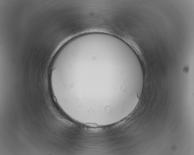 X0000116790108201001291527