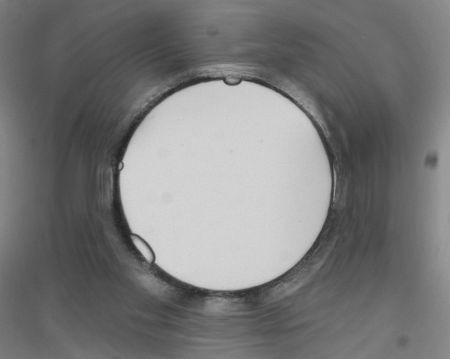 X0000116790109201001291527