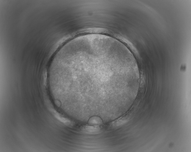 X0000116790110201001291527