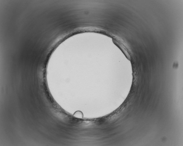 X0000116790111201001291527