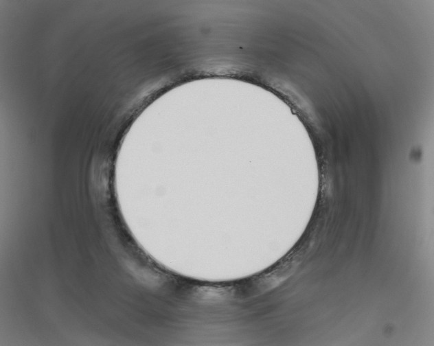 X0000116790115201001291527
