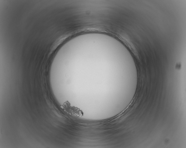 X0000116790116201001291527