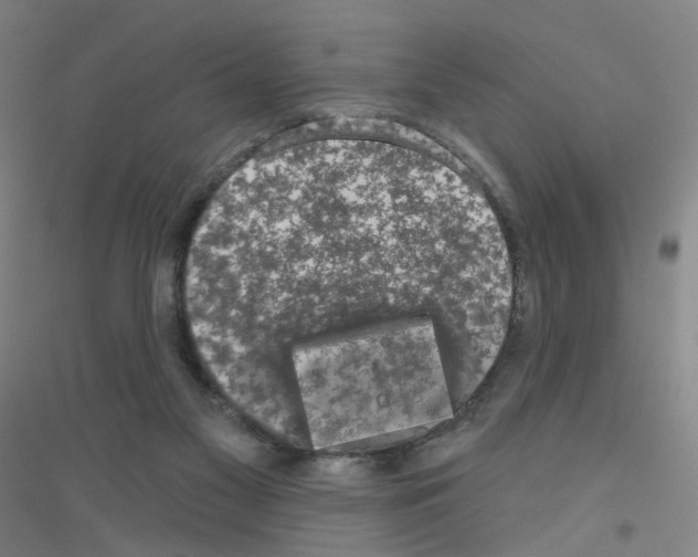 X0000116790117201001291527