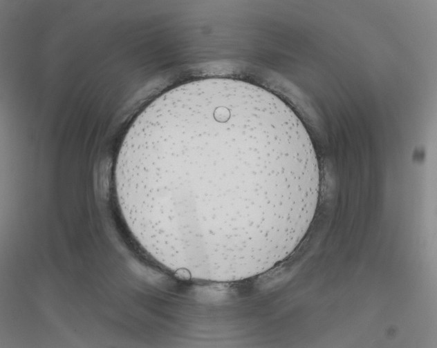 X0000116790118201001291527