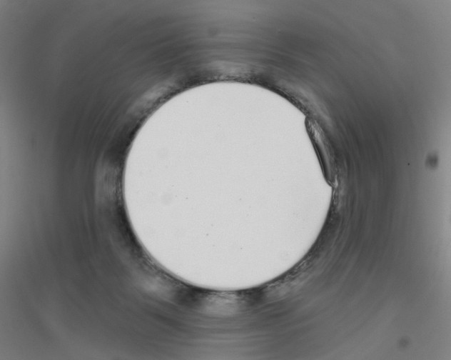 X0000116790123201001291527
