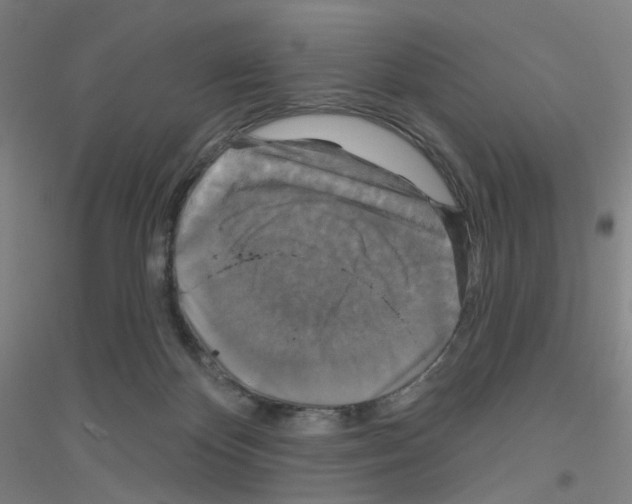 X0000116790124201001291527