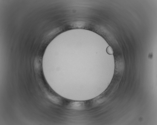 X0000116790126201001291527