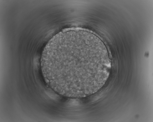 X0000116790127201001291527