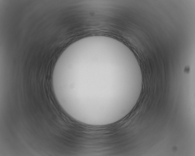 X0000116790129201001291527