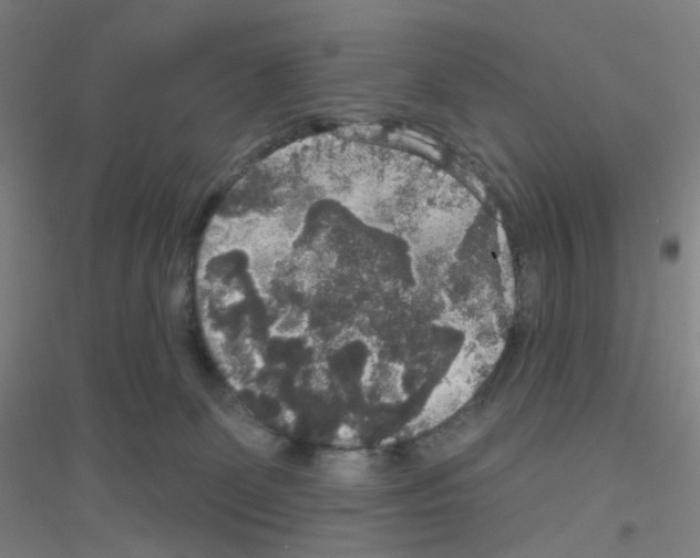 X0000116790131201001291527