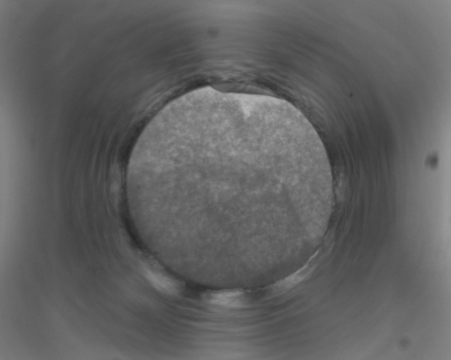 X0000116790132201001291527