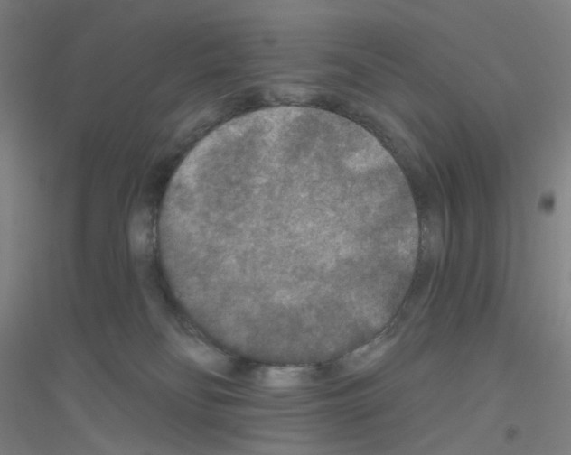 X0000116790134201001291527