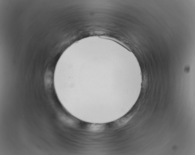 X0000116790135201001291527