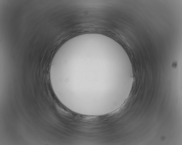X0000116790136201001291527