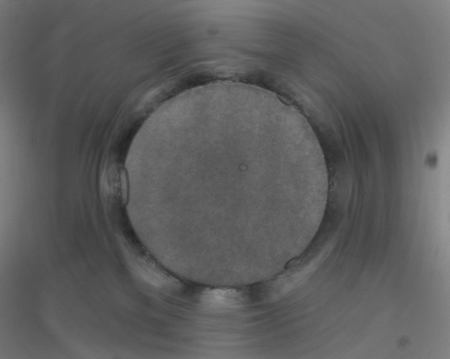 X0000116790137201001291527